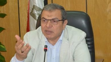 محمد سعفان وزير القوي العاملة