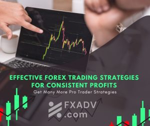 Effective Forex Trading Strategies for Consistent Profits