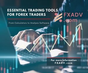 Essential Trading Tools for Forex Traders: From Calculators to Analysis Software
