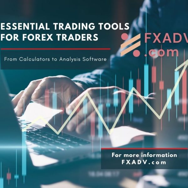 Essential Trading Tools for Forex Traders: From Calculators to Analysis Software