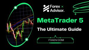 Mastering MetaTrader 5 The Ultimate Guide to the Powerful Trading Platform