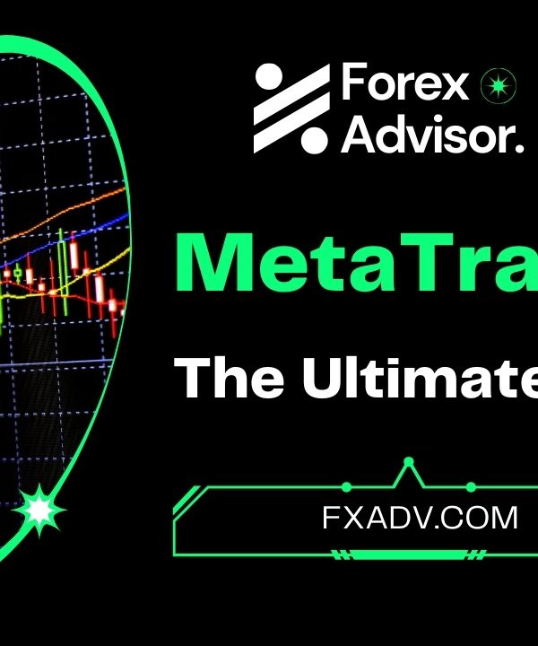 Mastering MetaTrader 5 The Ultimate Guide to the Powerful Trading Platform