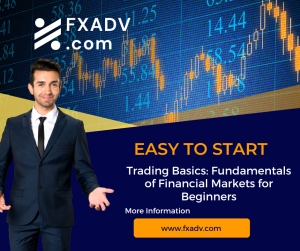 Trading Basics: Fundamentals of Financial Markets for Beginners