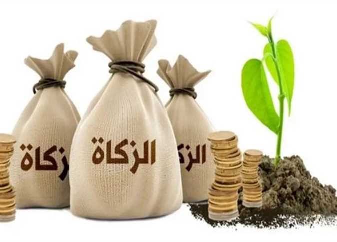 دار الإفتاء المصرية تصدر المعلومات المتعلقة بزكاة عيد الفطر لعام 2025
