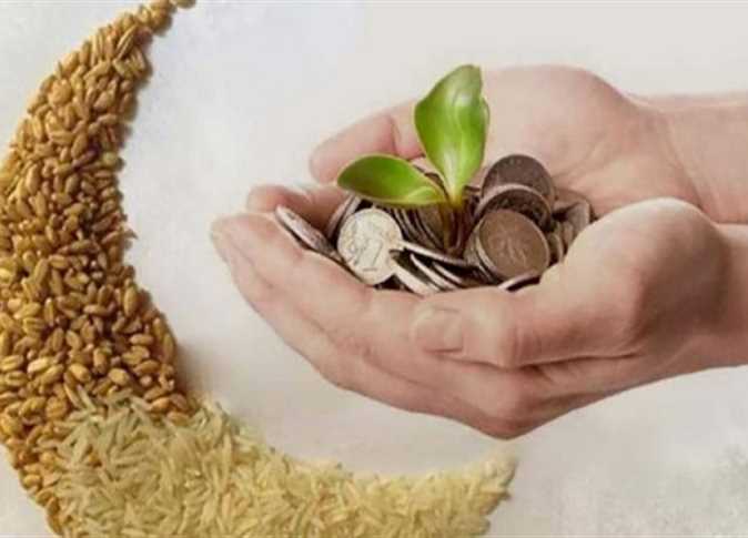 دار الإفتاء المصرية تصدر المعلومات المتعلقة بزكاة عيد الفطر لعام 2025