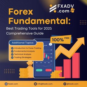Best Trading Tools for 2025 – Comprehensive Guide