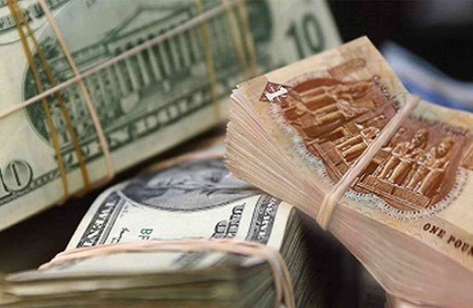 سعر الدولار مقابل الجنيه المصري في البنوك النشطة