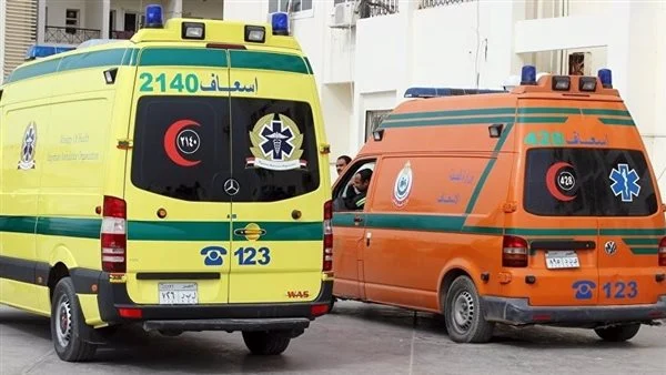 توفي شخصان وأصيب ثمانية آخرون نتيجة حادث انقلاب ميكروباص على الطريق الدائري